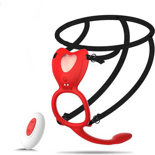 Wearable Panty Clitoral Anal Vibrator With Remote Control